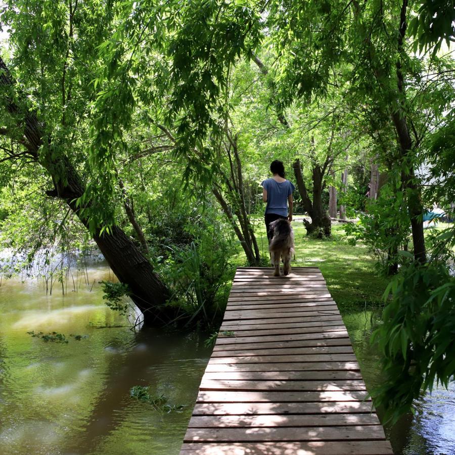 Viva la Pepa Cabañas al Río. Tigre Exterior foto